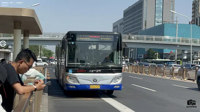 800BUS