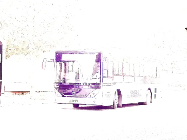 800BUS