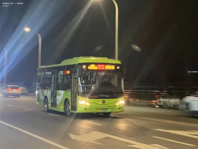 800BUS