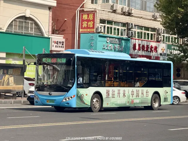 冀R 00956D