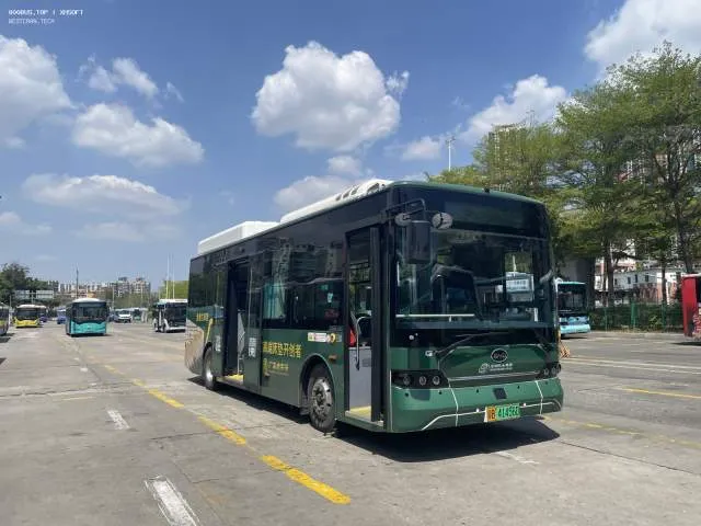 粤B·41456D