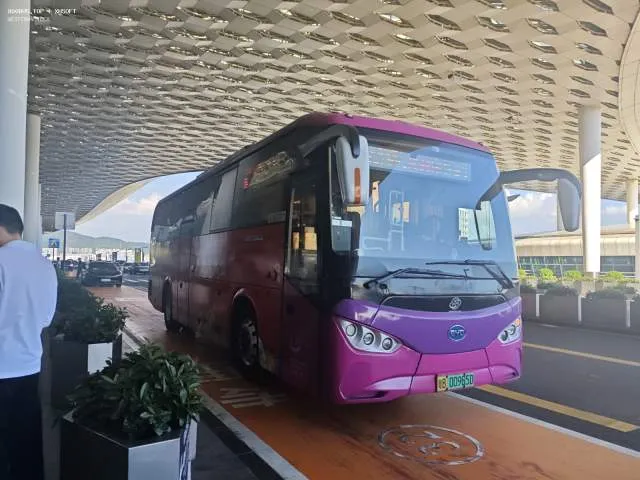 粤B·00965D