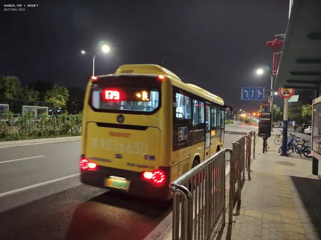 800BUS