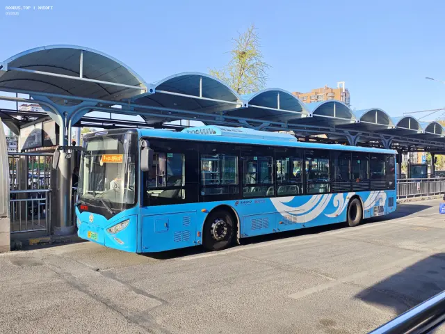 800BUS