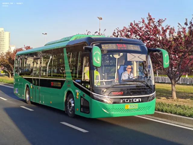 800BUS