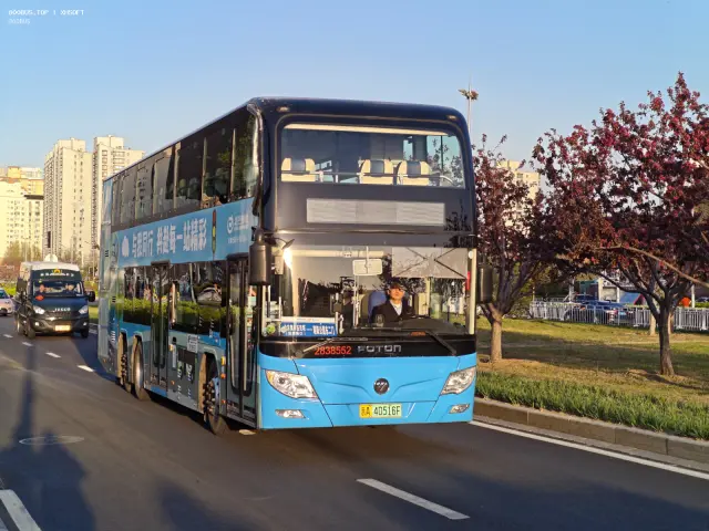 800BUS