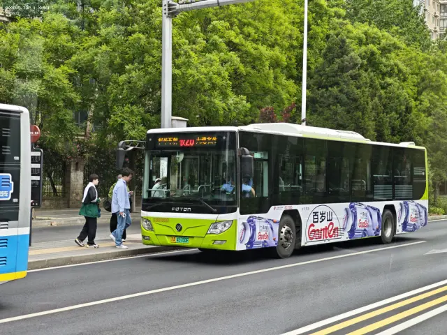 800BUS