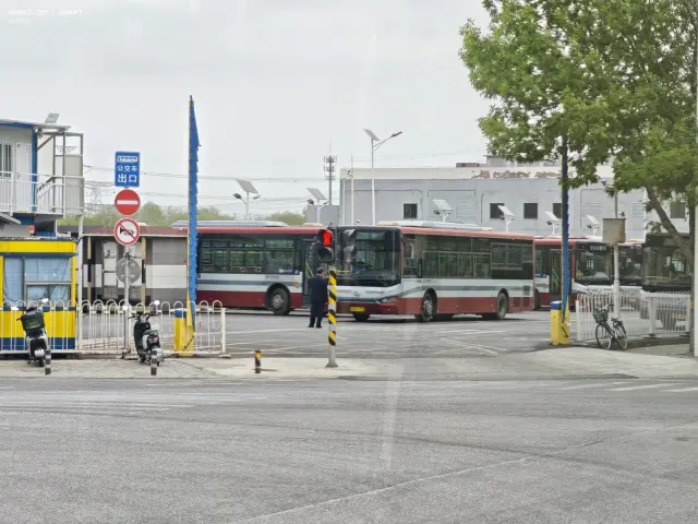 京A R1155