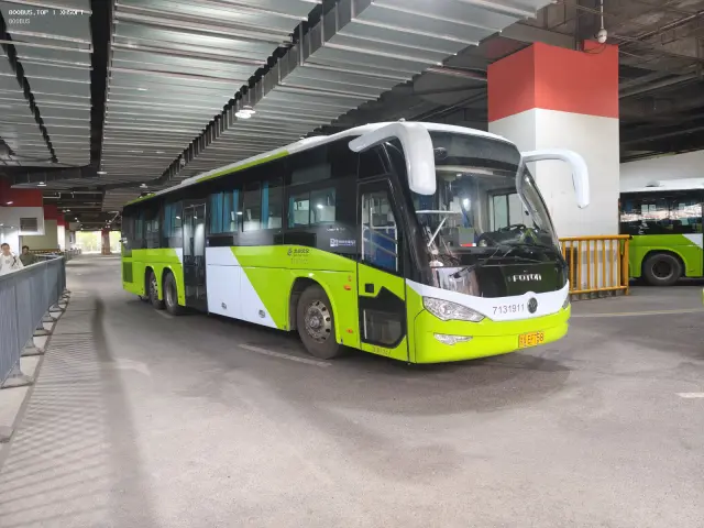 800BUS