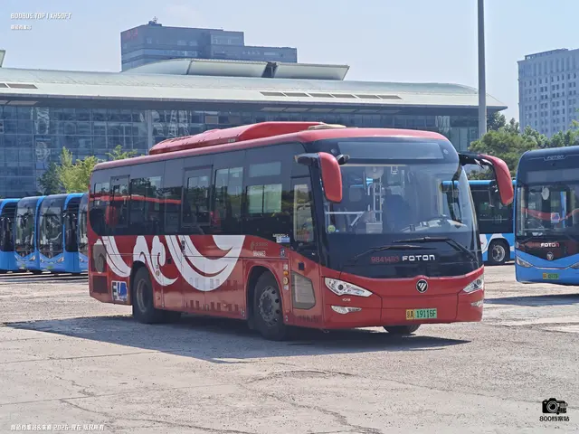 800BUS