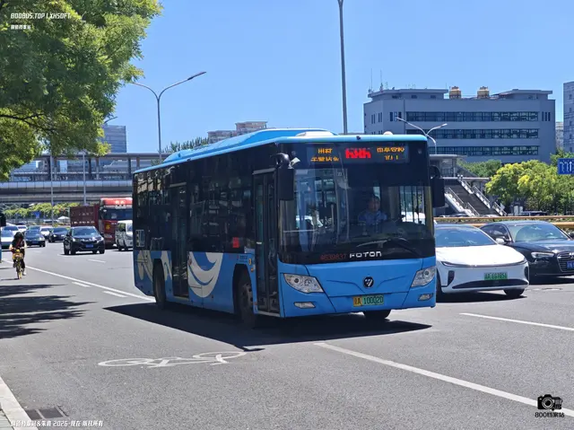 800BUS