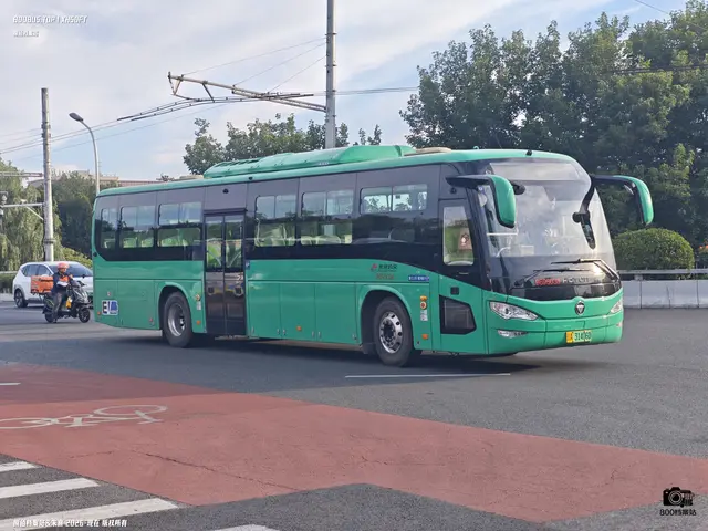 800BUS