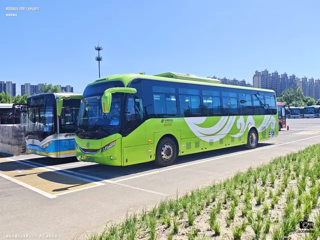 800BUS