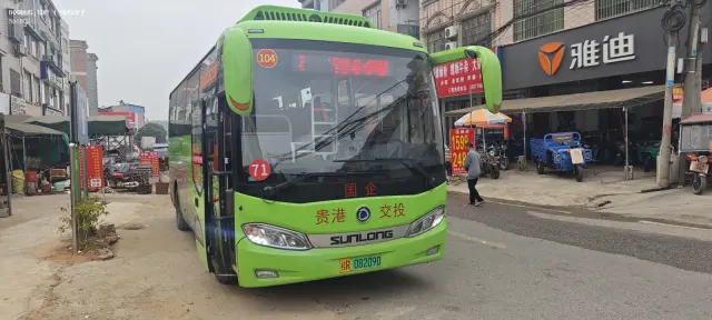 800BUS