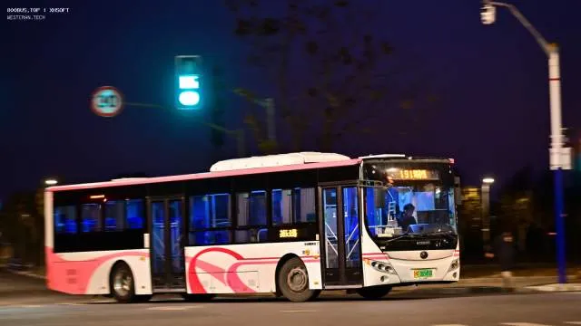 沪A06545D