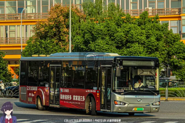苏E 00050F