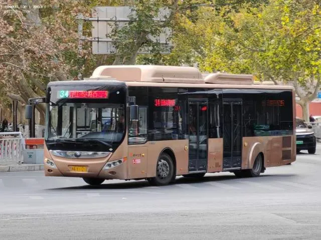 豫A X1121