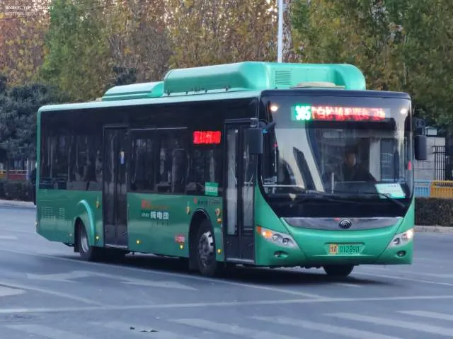 豫A 01289D