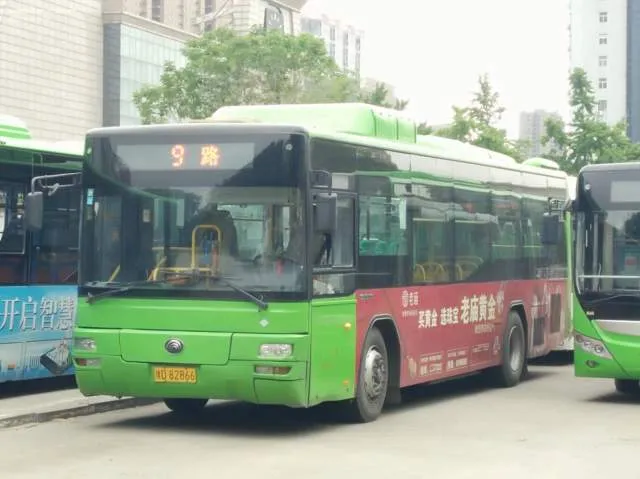 豫D 82866