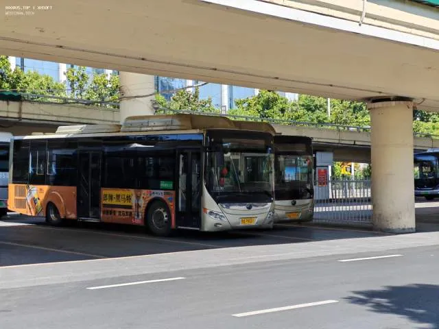 豫A P8501