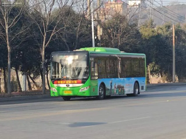 豫D V8771