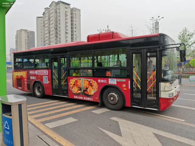 800BUS