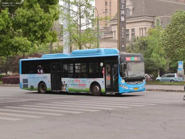 800BUS