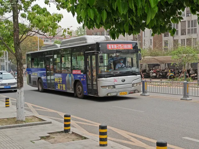 川R 50629