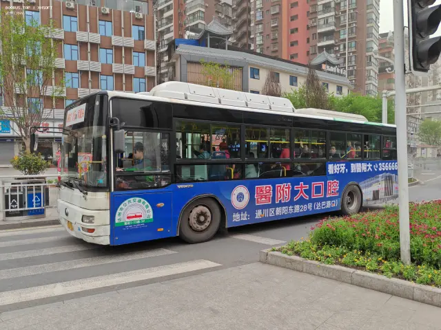 800BUS