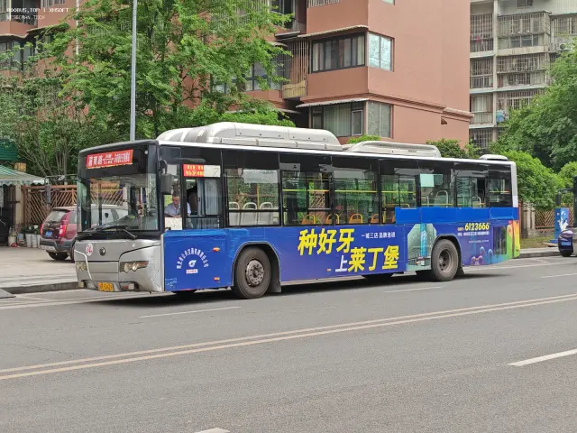 川R 50629