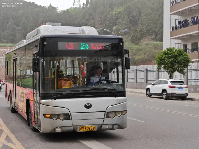800BUS