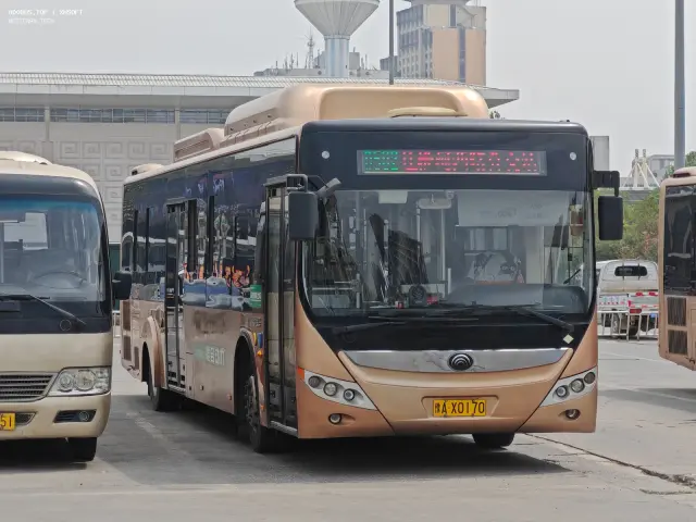 800BUS