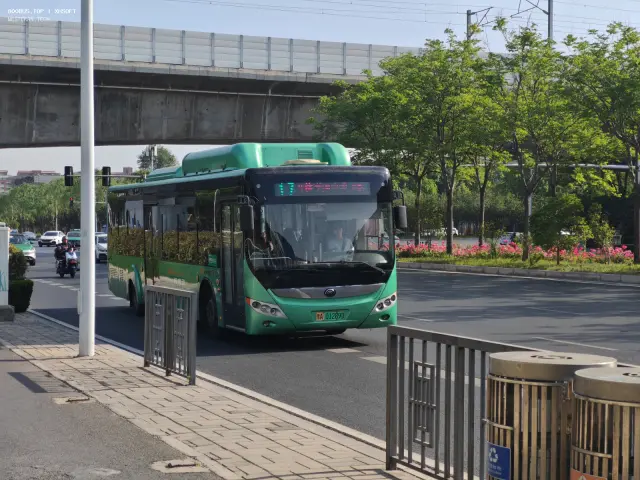 800BUS