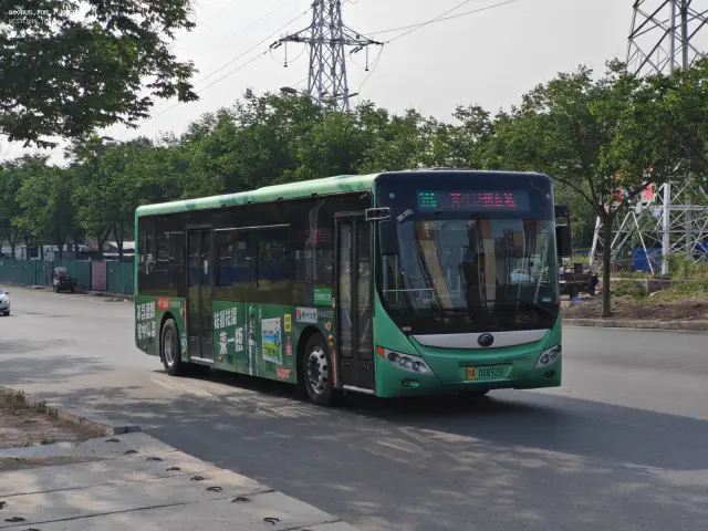 800BUS