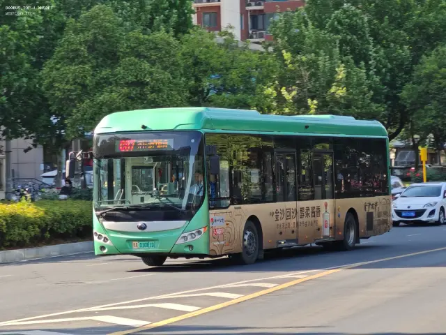 豫A 01801D