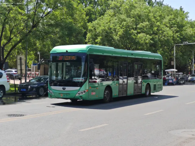 豫A 00238D