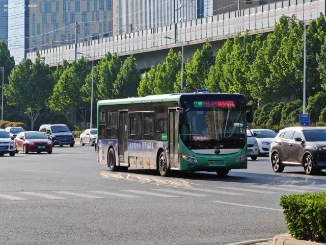800BUS
