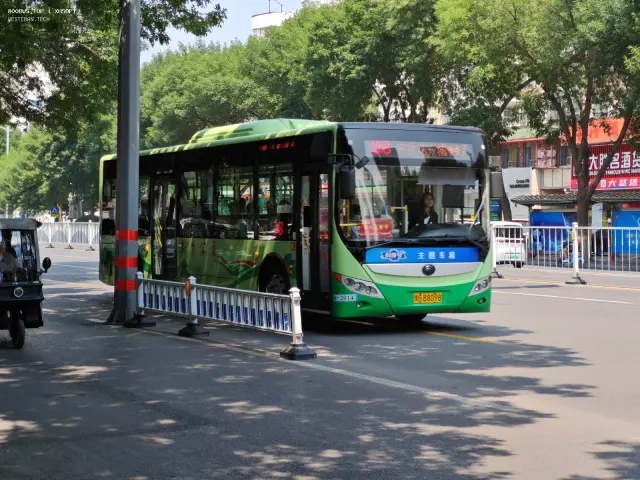 800BUS