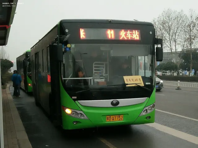 800BUS