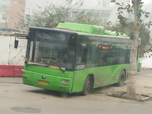 800BUS