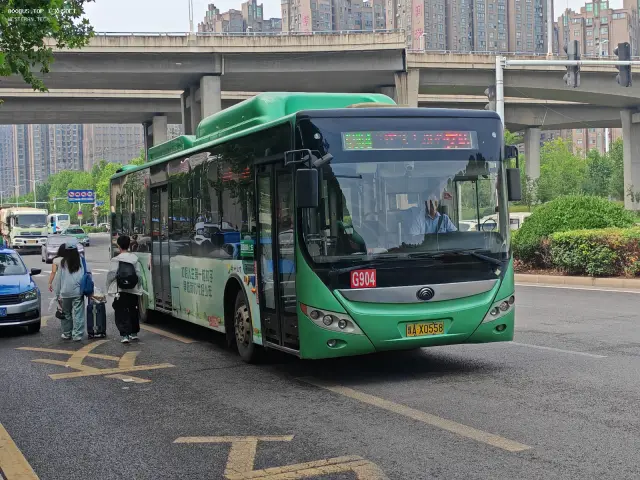 800BUS