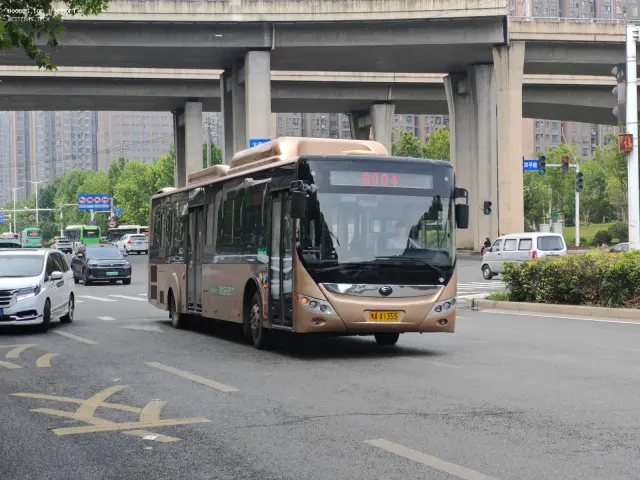 800BUS
