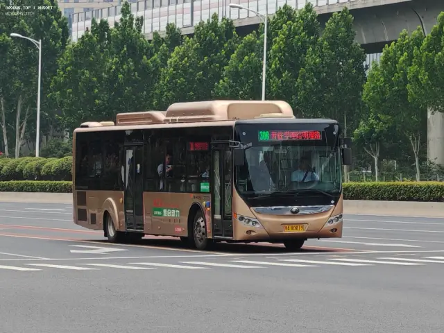 豫A X0819