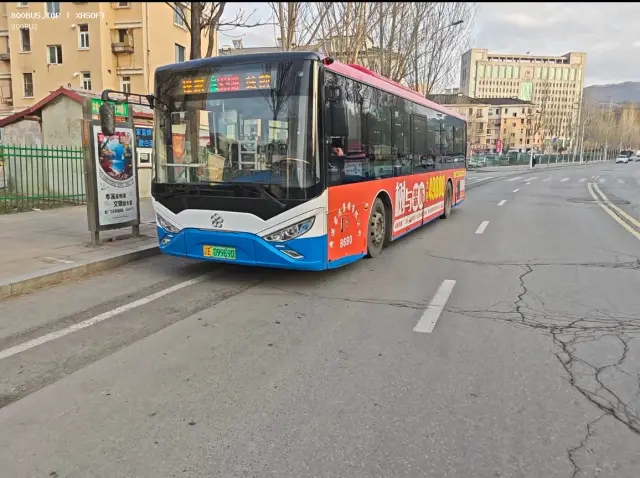 800BUS