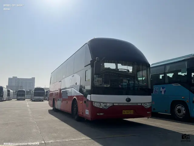 浙A8R302