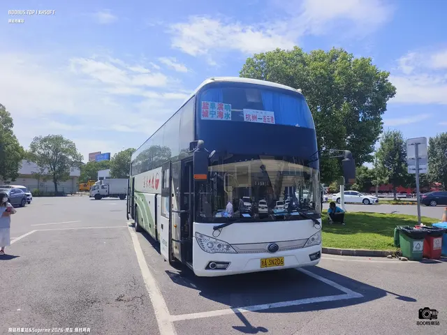 浙A3N206