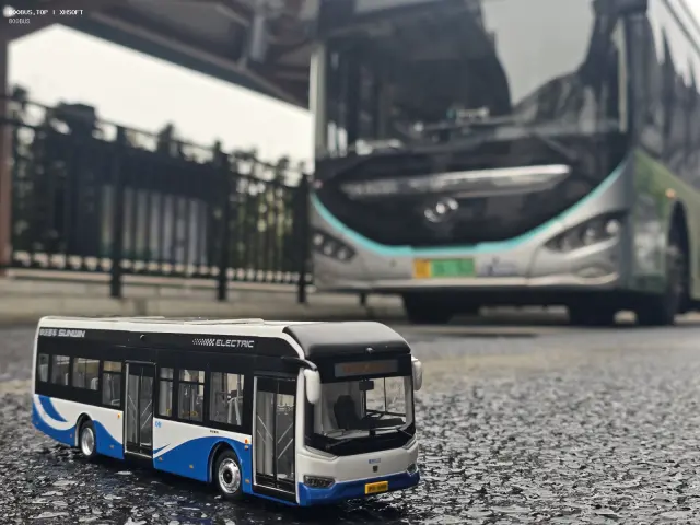 800BUS