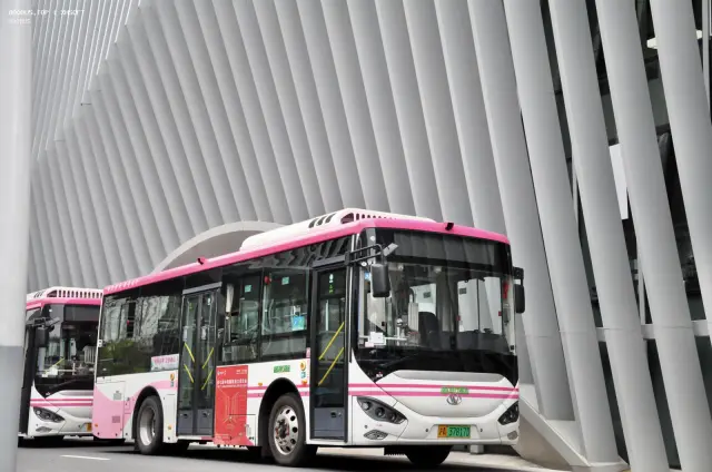 沪A37817D