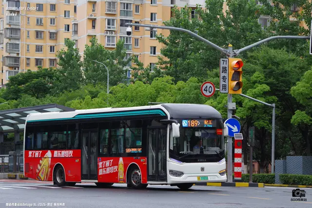 沪A87321D