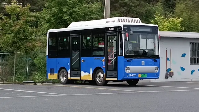 浙A 01231D（16-9031）